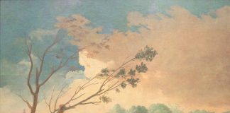 Verso un diritto privato sostenibile: il contratto tra funzione economica e responsabilità ambientale