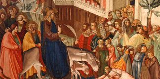 Los poderes preventivos y los principios que deben inspirar su consideración como medida de apoyo.