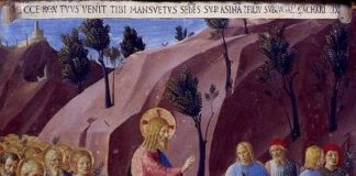 Autonomía de la persona y medios de solución adecuada de los conflictos. Una revisión sobre el valor de la autonomía privada en los MASC en el ámbito de la LO 1/2025 de 2 de enero, de medidas en materia de eficiencia del servicio público de justicia.