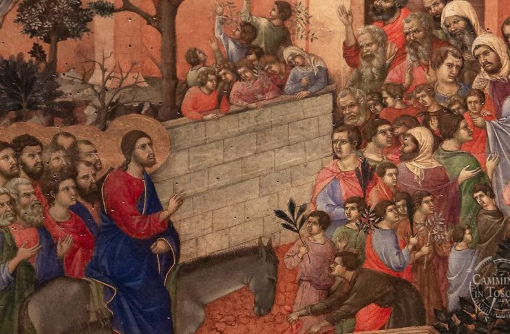 El apoyo prestado por la Entidad Pública para el ejercicio de la capacidad jurídica de las personas mayores con discapacidad en situaciones de urgencia. Análisis del artículo 253 del Código civil.